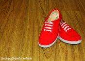 ruby_slippers_by_supahgraffitigurl-d36lrwp.jpg