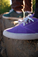 purple_and_green_by_daniellemarion10-d3ejpf0.jpg