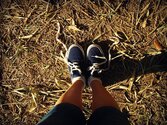 my_shoes__by_funniestgirl-d3k6tpq.jpg