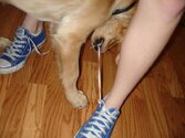 she had untied both my shoes2.jpg