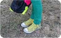 yellowgreen8shoes.jpg