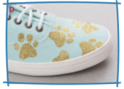 shoe1c.png