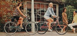 1968-schwinn-deluxe-collegiate-collegiate-ladies.jpg