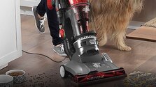 Best-Upright-Vacuums-for-Pet-Hair.jpg