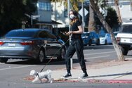 ana-de-armas-in-casual-outfit-walking-her-dog-in-venice-05-15-2020-11.jpg