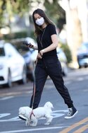 ana-de-armas-in-casual-outfit-walking-her-dog-in-venice-05-15-2020-4.jpg