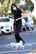 ana-de-armas-in-casual-outfit-walking-her-dog-in-venice-05-15-2020-6.jpg