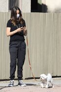 ana-de-armas-in-casual-outfit-walking-her-dog-in-venice-05-15-2020-5.jpg