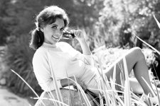 Dawn-Wells-2-1.jpg