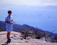 Susan-Ladnier-Susan-overlooking-the-coastline-with-ships-in-BG-306_Viet-Nam-1968-with-credit.jpg