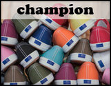 champion-08.jpg