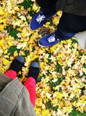 autumn_leaves_by_trescerezas.jpg