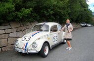 beetle_1218743809.jpg