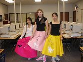 poodle_skirts_pink_22797_l.jpg