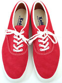 KEDS-sweednker-OR-model.jpg