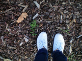 shoes_and_soil_by_polaroidemotions.jpg