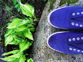 Blue_shoes_by_Lalupi.jpg