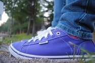 purple_vans_by_brokenbambi-d2y918a.jpg