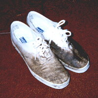  : gallery : collection : 1997 : 12 : keds07.jpg