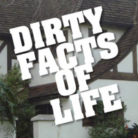 Dirty Facts Of Life - part 1.avi
