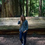 redwood-forest-navy-flannel-3.jpg