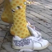 skateshoes shoeplay teen with yellow high socks.mp4