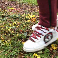 eggs in kate's dvs skate shoes.mp4